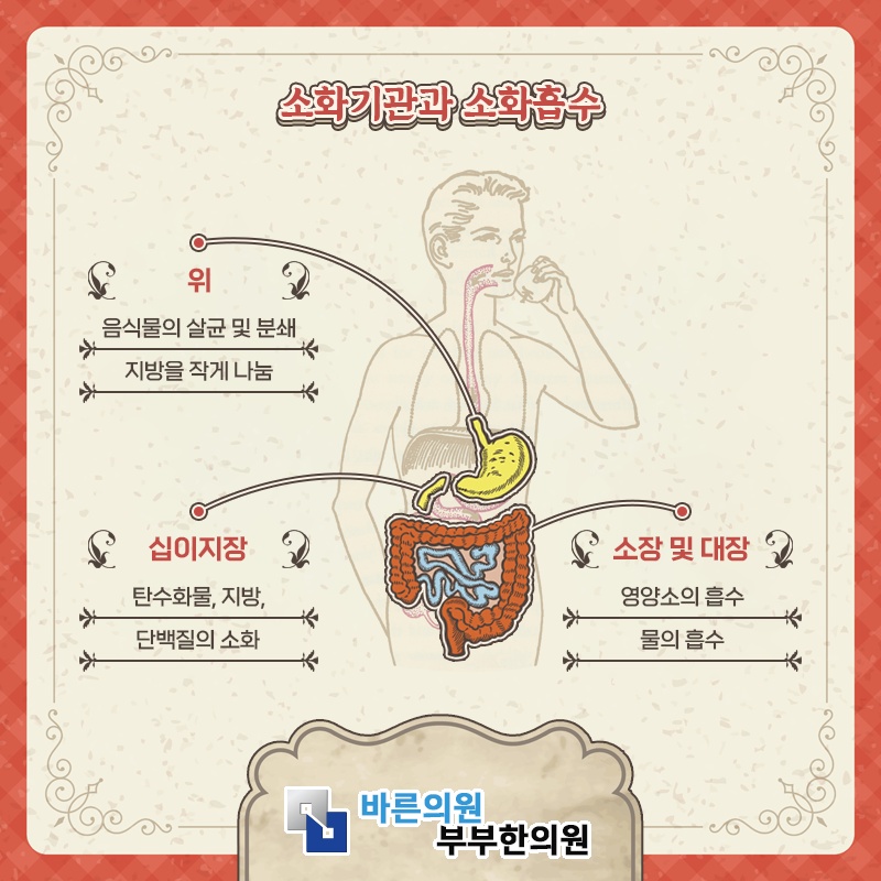 과민성대장증후군, 반복되는 복부 불편감의 원인 살펴보기